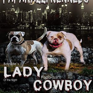 Cowboy  X  Lady of the Night