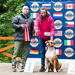 BEST BULLY MALE PUPPY